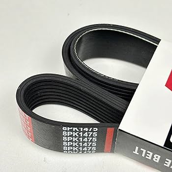 Amazon.com: New Multi V Drive Belt Fan Belt for Engine Part